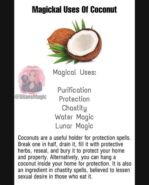 Cobalt Spell Coconut: Nourishing the Body and Soul